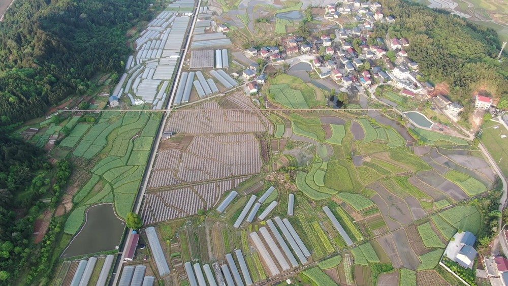 丘陵鄉(xiāng)村田園中的農(nóng)田農(nóng)業(yè)種植與培育