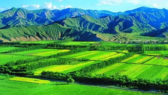 農業種植效益提升之道 核心要素與科學實踐