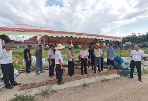 省農業(yè)農村廳領導調研我市水產種業(yè)與生態(tài)養(yǎng)殖發(fā)展情況