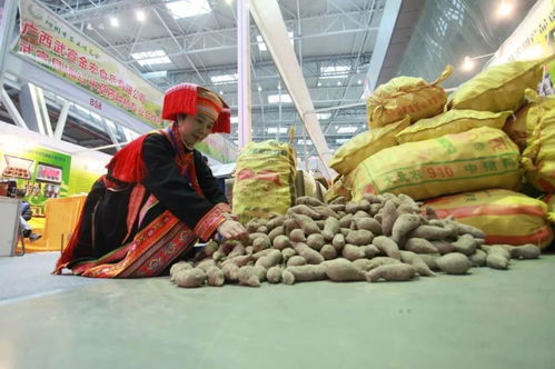 2019柳州農博會 萬種珍品薈萃，盡顯現代農業(yè)風采